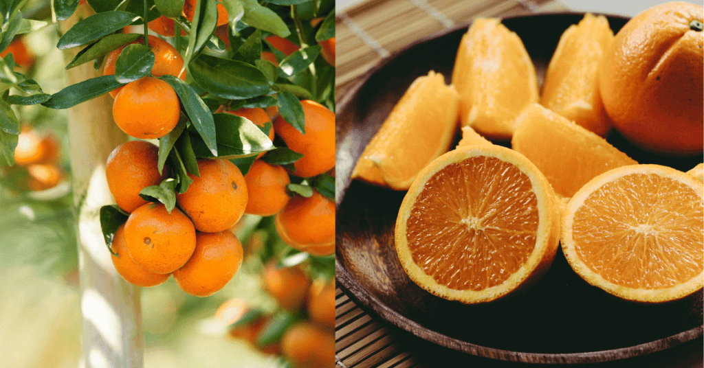 Orange for instant skin hydration